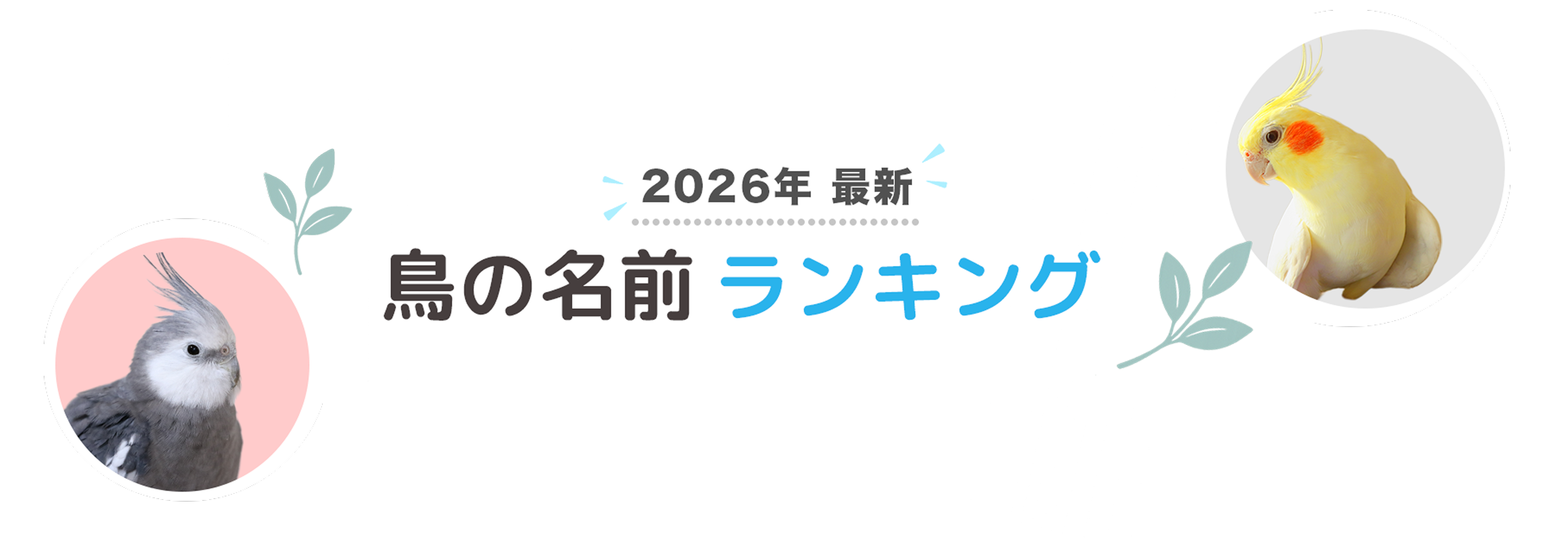 2026年鳥の名前ランキング