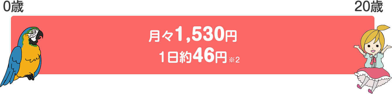 ホワイトプランⅡの保険料
