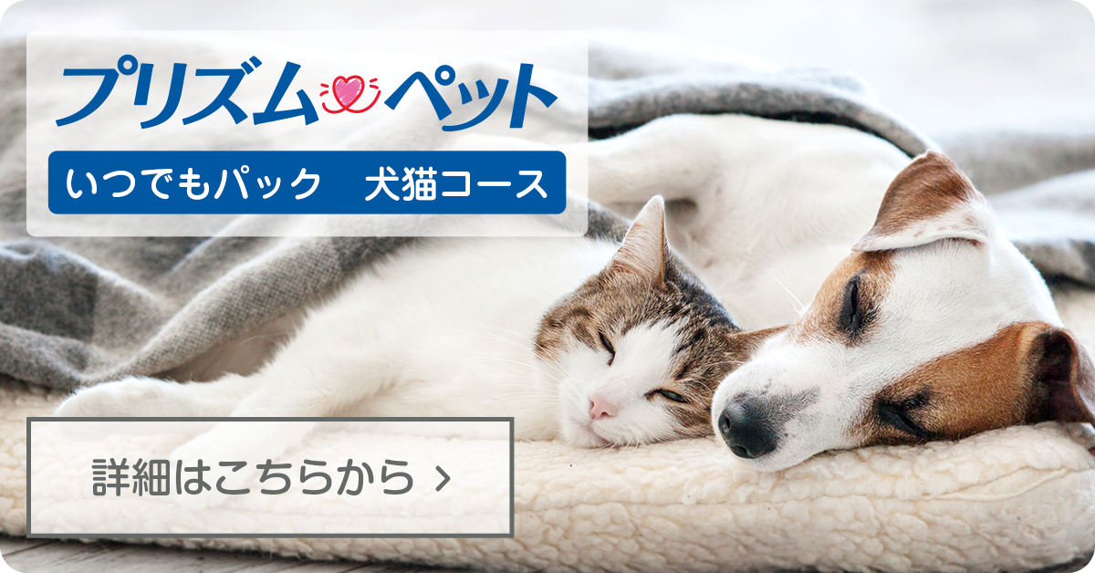 プリズムペット犬猫コース