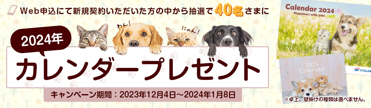 カレンダープレゼントキャンペーン