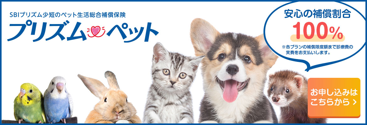 プリズムペットお申し込み
