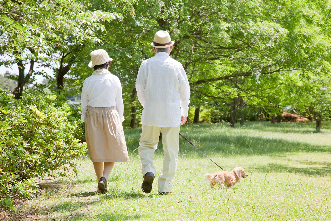 飼い主にも嬉しい！散歩がもたらす3つの健康効果