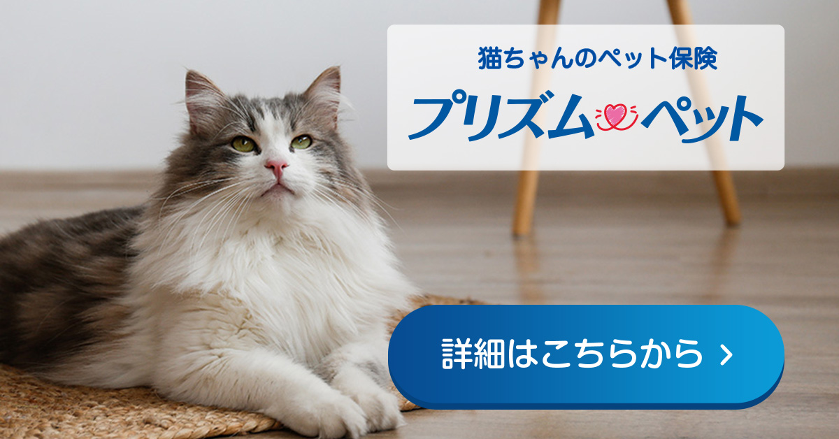 猫におすすめなペット保険 プリズムペット