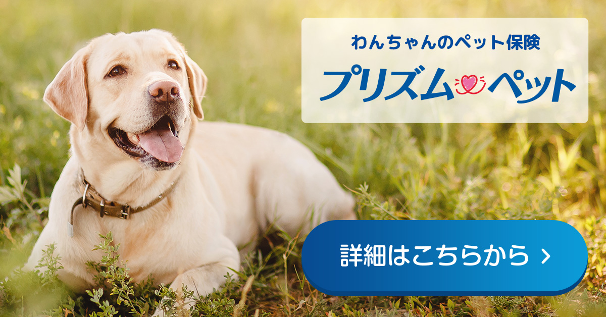 犬におすすめなペット保険 プリズムペット