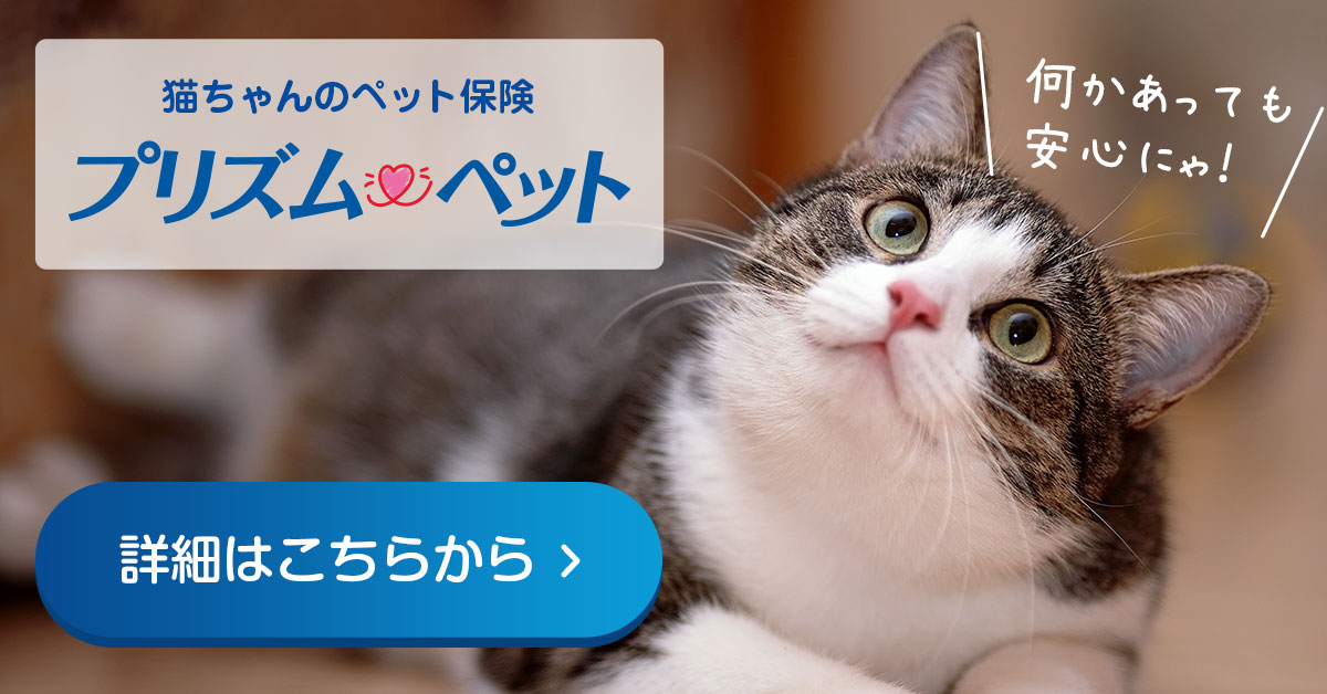 猫におすすめなペット保険 プリズムペット