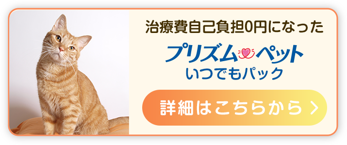 治療費自己負担0円になった「プリズムペット いつでもパック」の詳細はこちら