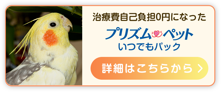 ちょっとした症状でも、迷わず病院へ。