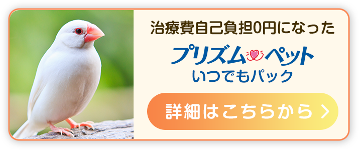 ちょっとした症状でも、迷わず病院へ。