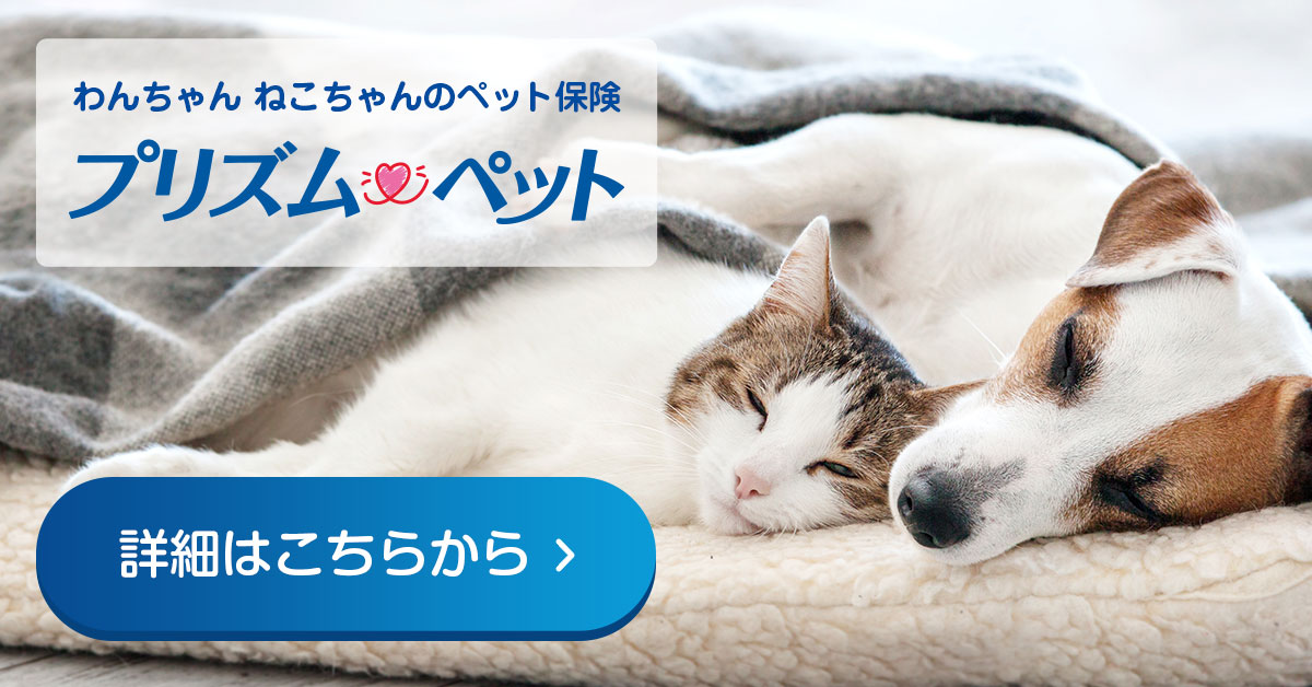 おすすめのペット保険