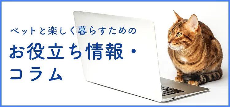 お役立ち情報、コラム