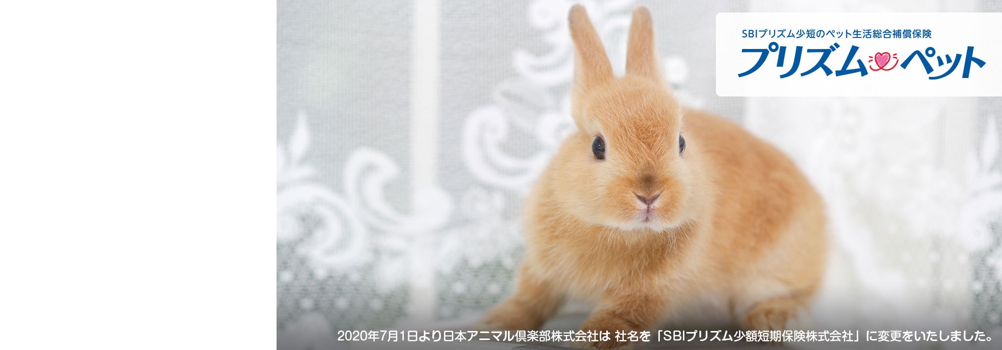 うさぎ等小動物のペット保険 プリズムコール®︎