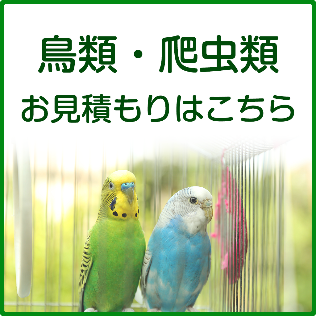 鳥、爬虫類プランのお見積もり