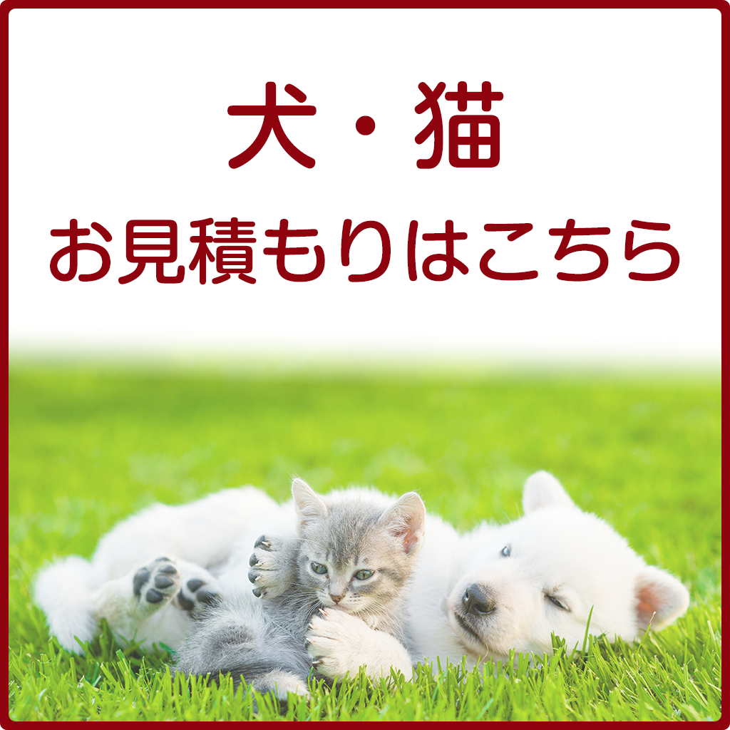 犬猫プランお見積もり