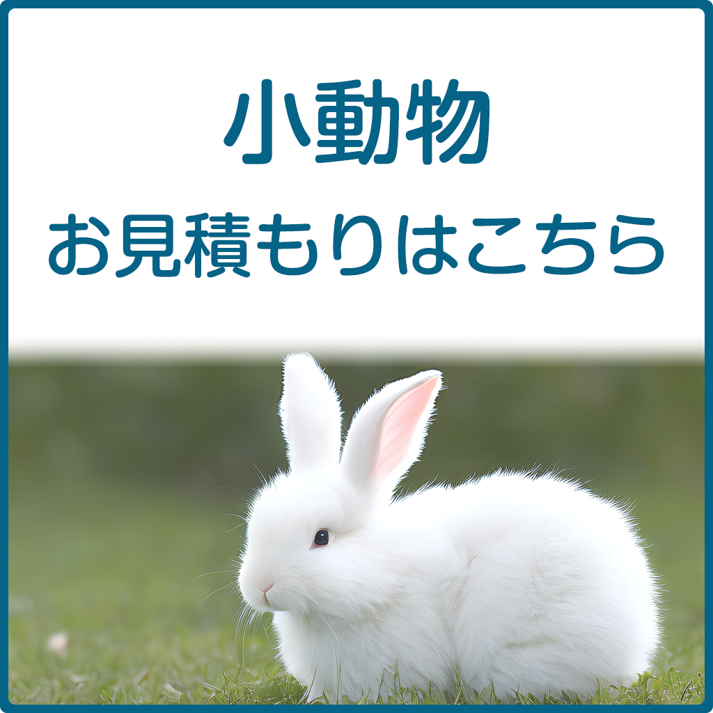 小動物プランお見積もり