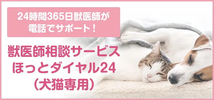 ほっとダイヤル24（犬猫専用）