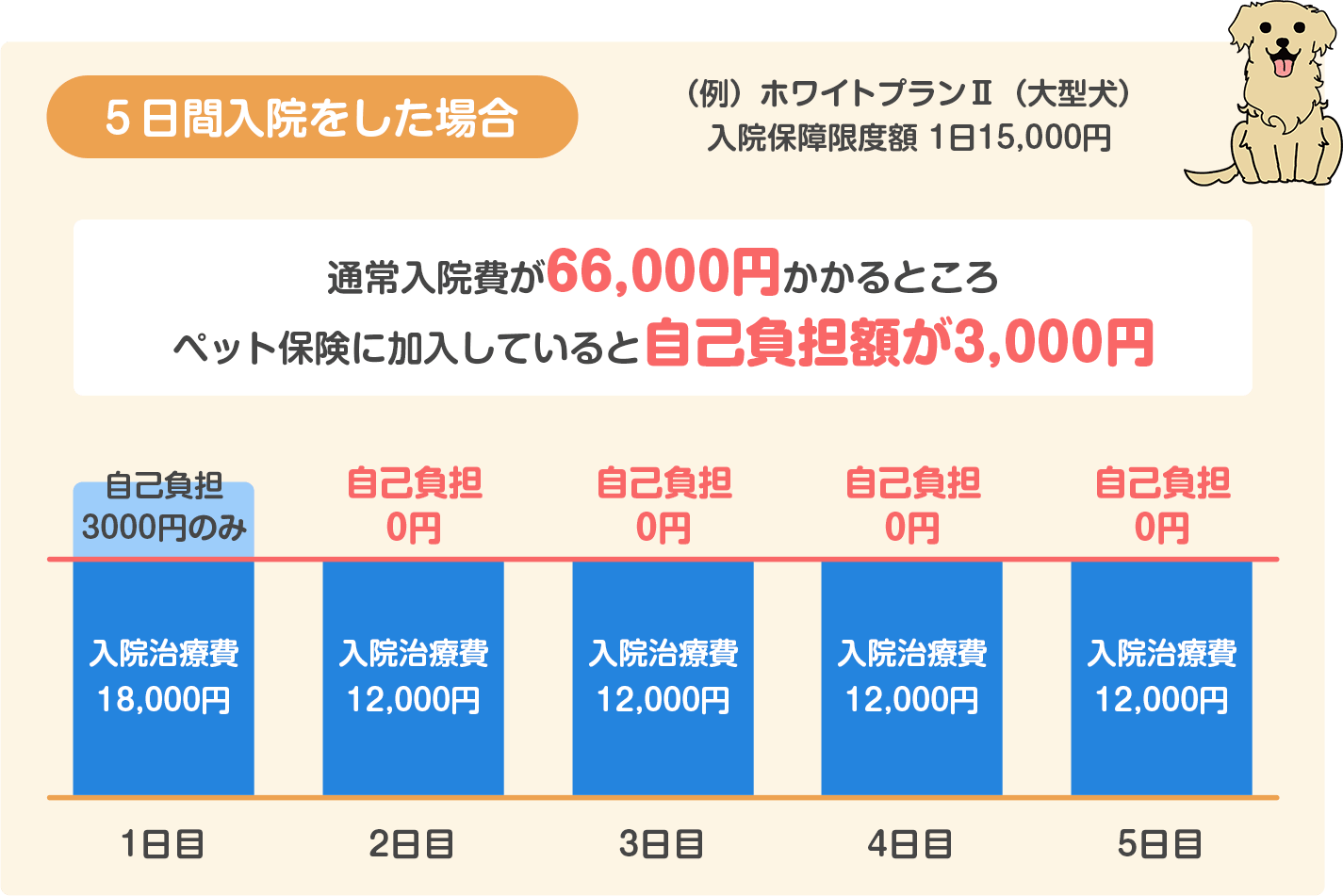 5日間入院をした場合の保険料(ホワイトプラン)