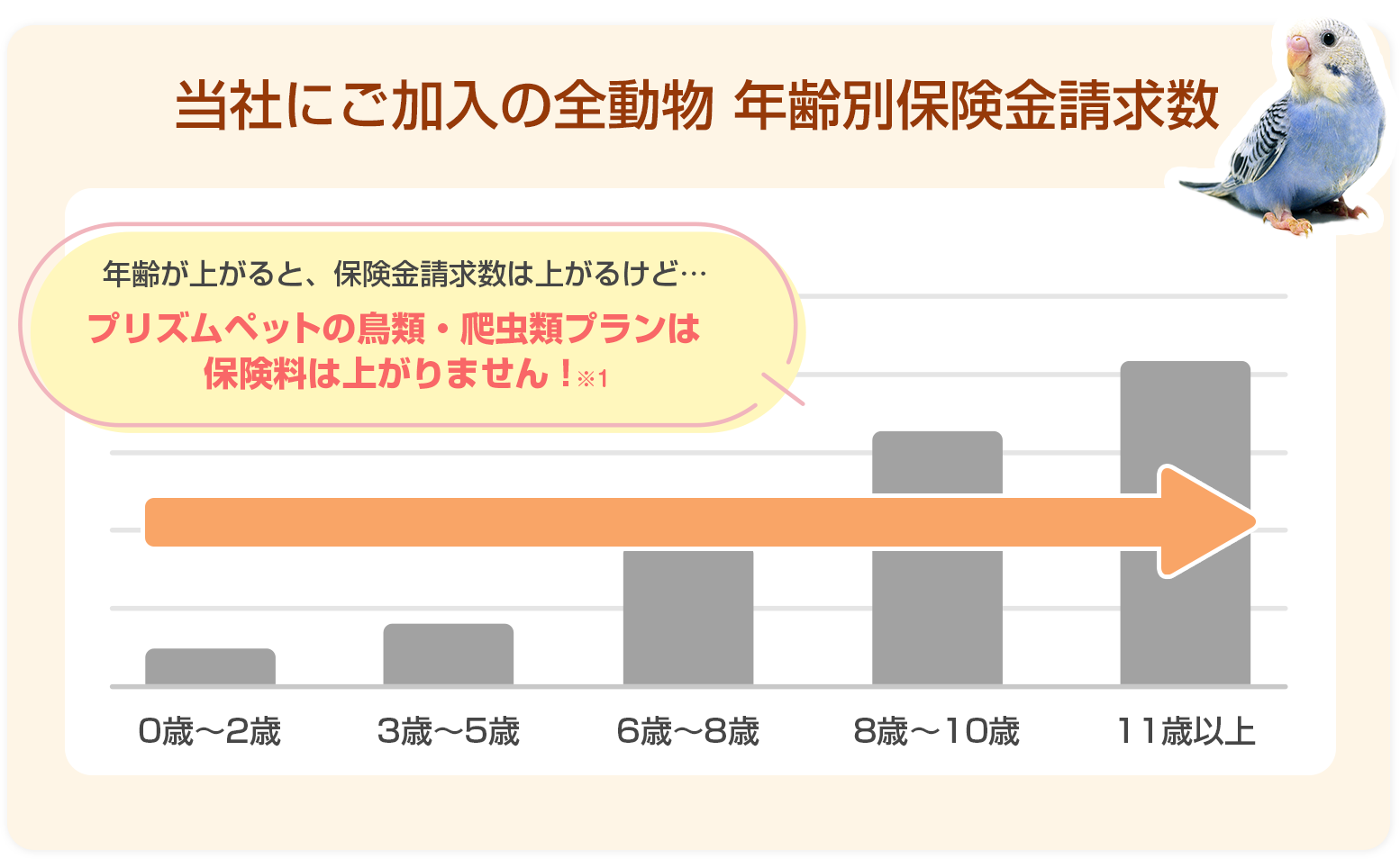 年齢が上がっても保険料が上がりません