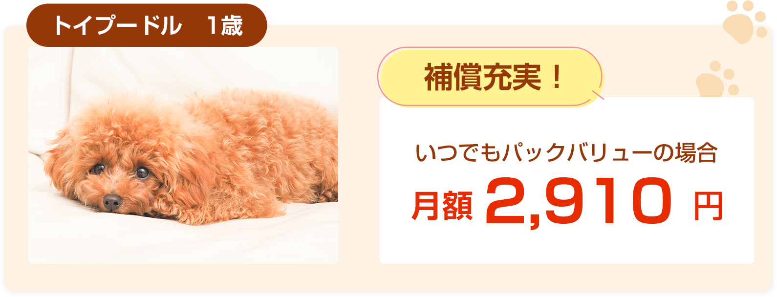 トイプードル1歳保険料例