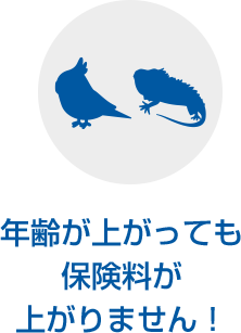 年齢が上がっても保険料が上がりません
