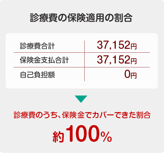 診療費の保険適用の割合