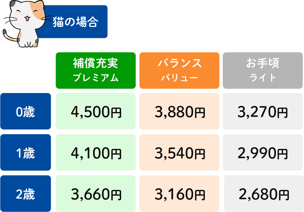 保険料 猫