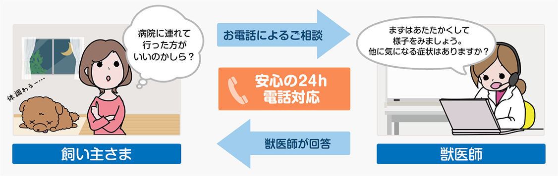 獣医師相談サービス「ほっとダイヤル24」