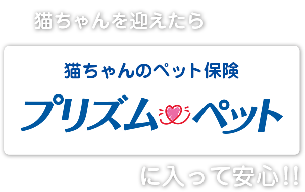 猫ちゃん迎えたらプリズムペットに入って安心