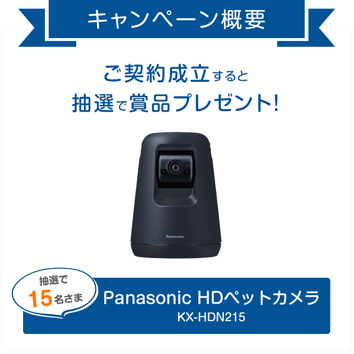抽選でプレゼント！