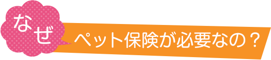 なぜペット保険が必要なの？