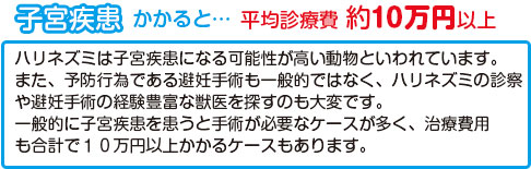 子宮疾患