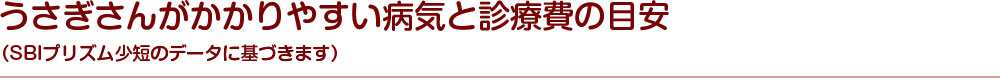 うさぎがかかりやすい病気と診療費の目安