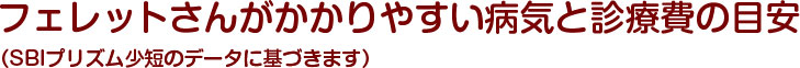 フェレットがかかりやすい病気と診療費の目安