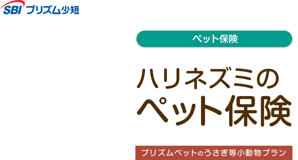 ハリネズミのペット保険 プリズムペットのうさぎ等小動物プラン