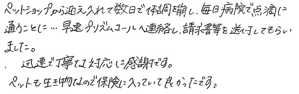 ペットショップから迎え入れて数日で体調を崩し、毎日病院で点滴に通うことに…早速プリズムペットへ連絡し、請求書等を送付してもらいました。
              迅速で丁寧な対応に感謝です。
              ペットも生き物なので保険に入っていて良かったです。
              