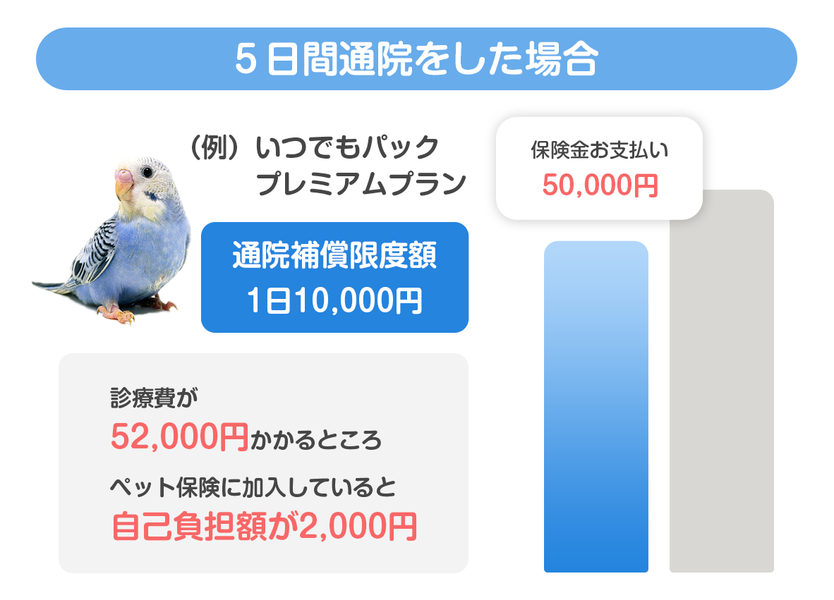 5日間入院をした場合の保険料