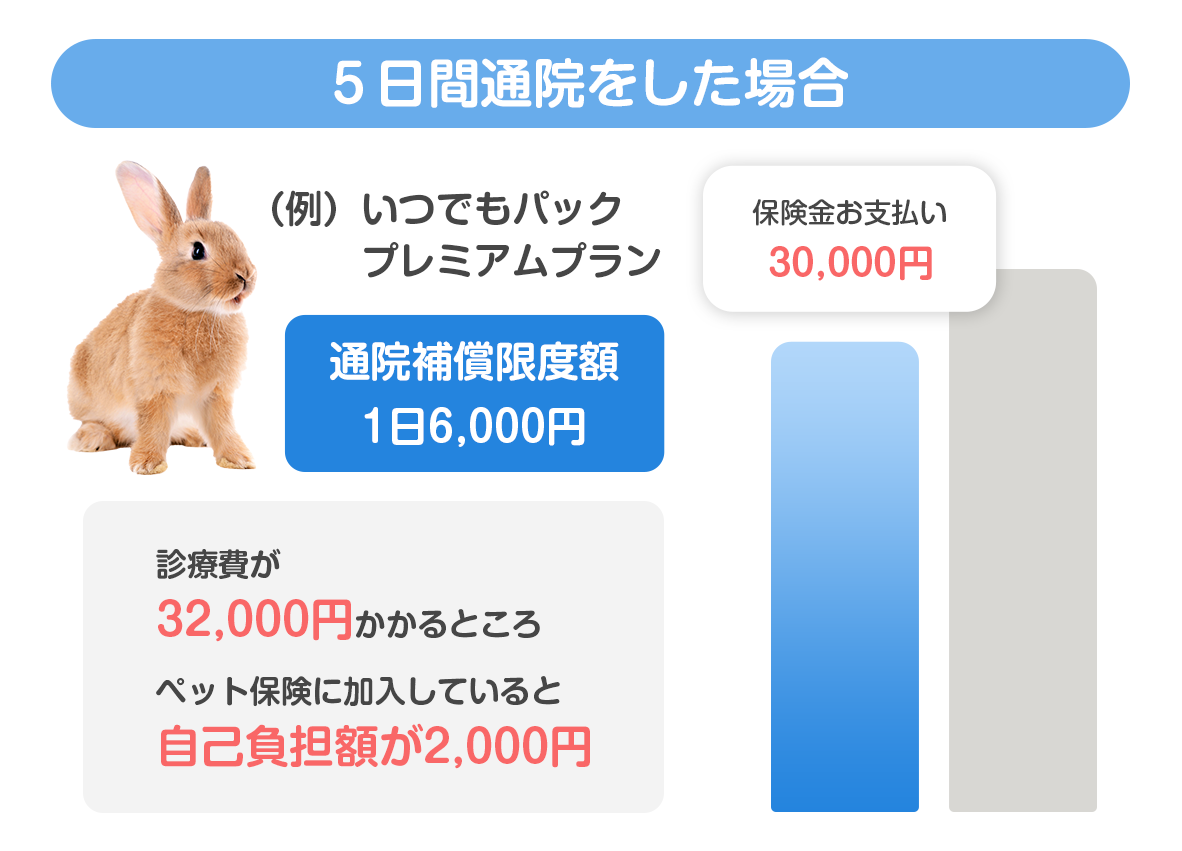 5日間入院をした場合の保険料