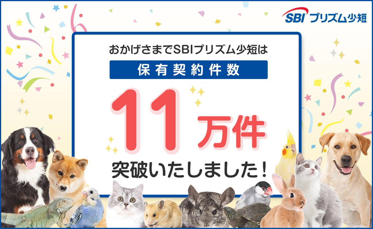 SBIプリズム少短、ペット保険保有契約件数が11万件を突破！