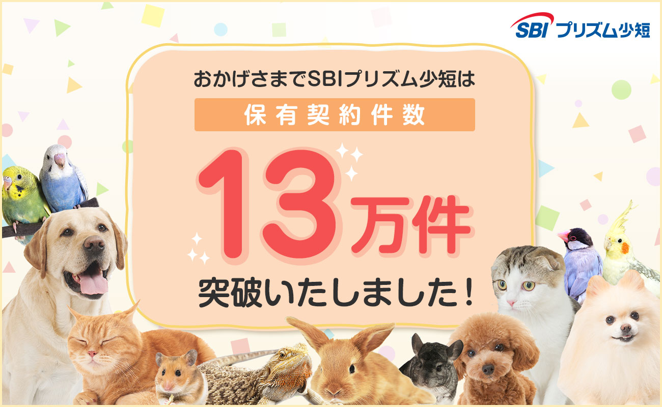 SBIプリズム少短、ペット保険保有契約件数が13万件を突破！