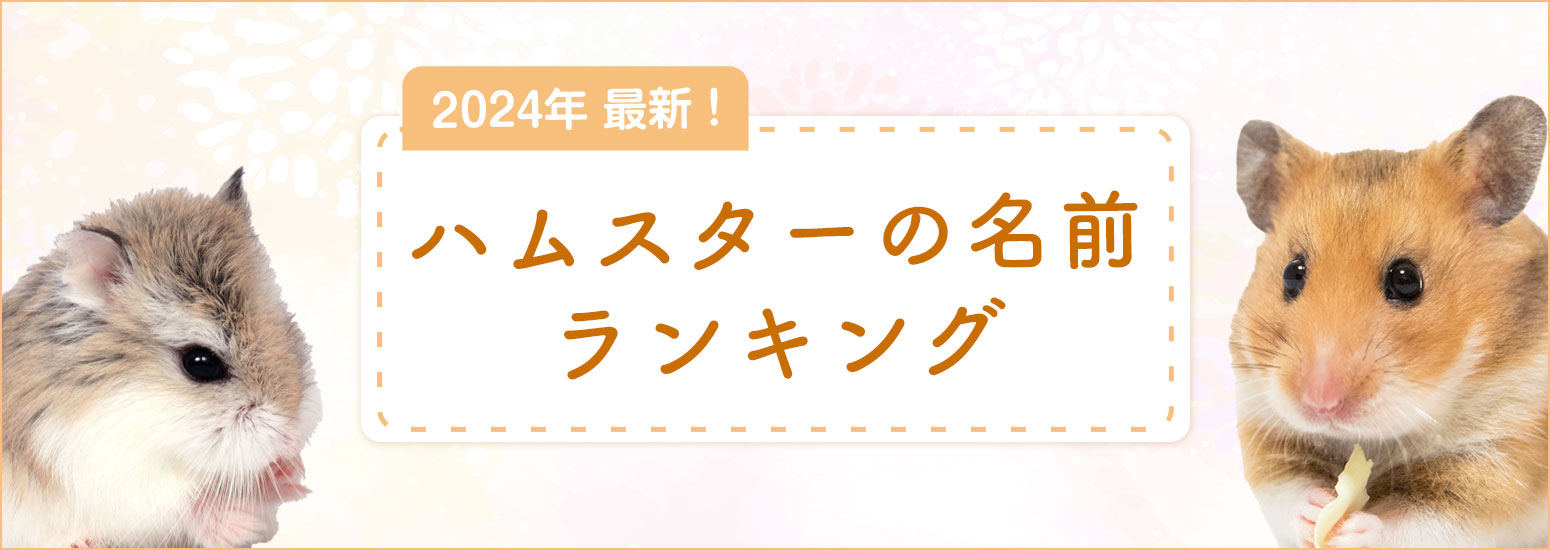 【2024年最新】ハムスターの名前ランキングを発表！