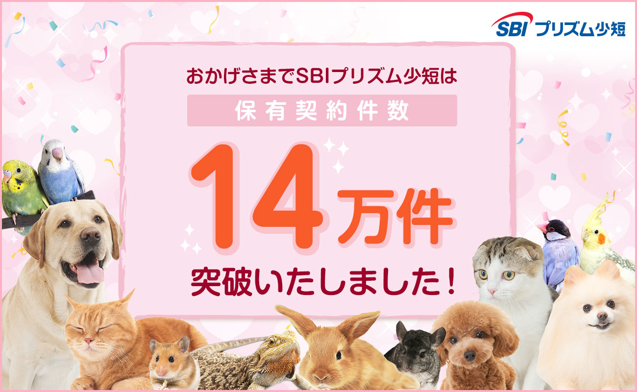 SBIプリズム少短、ペット保険保有契約件数が14万件を突破