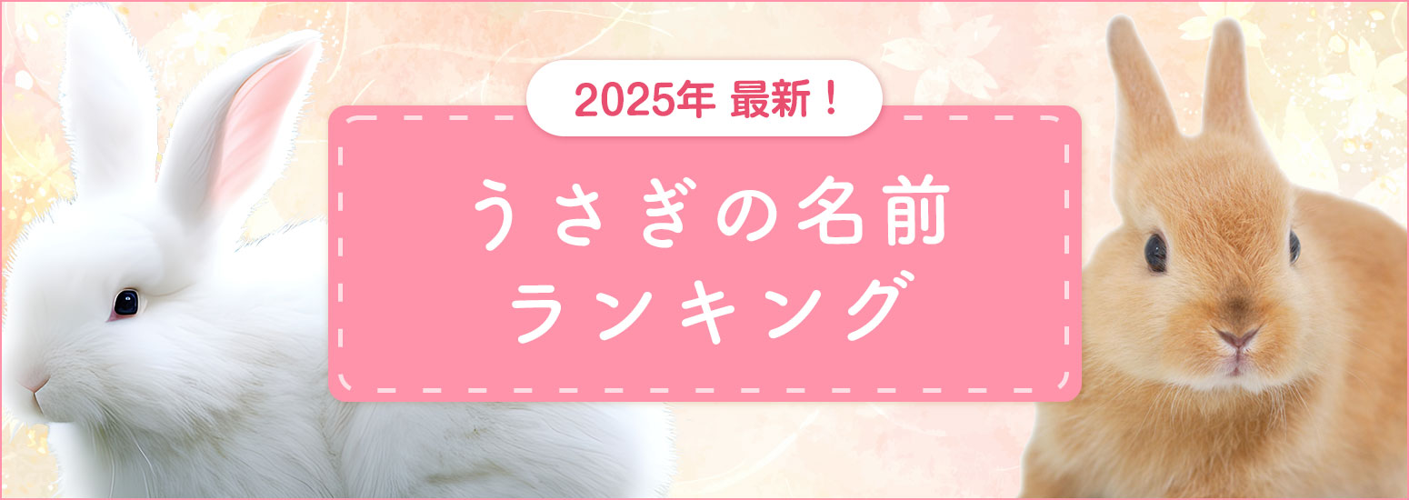 【2025年最新】うさぎの名前ランキングを発表！