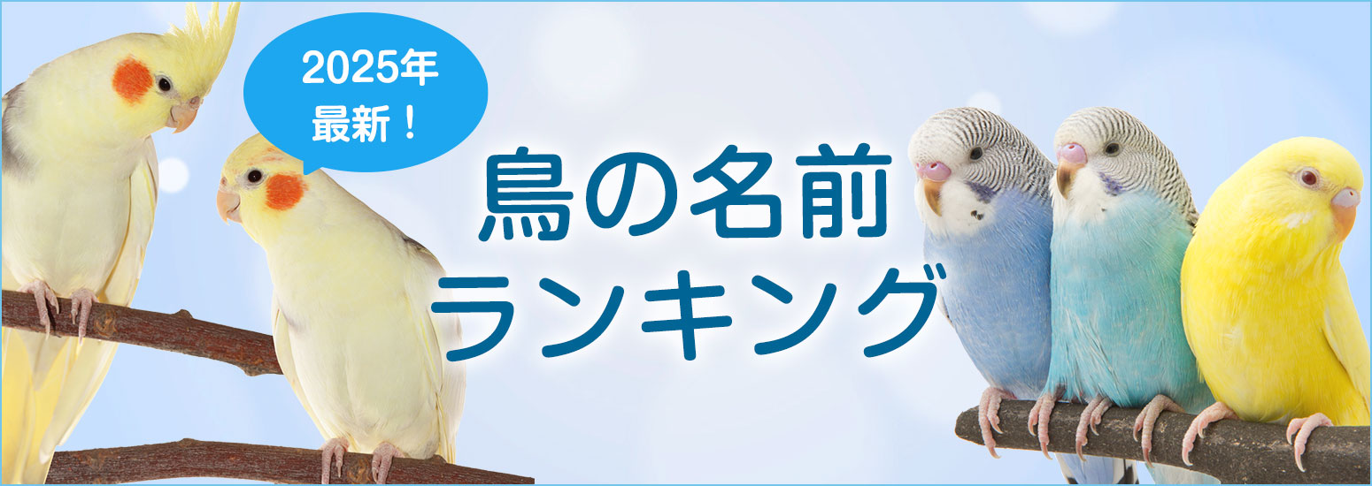 【2025年最新】鳥の名前ランキングを発表！