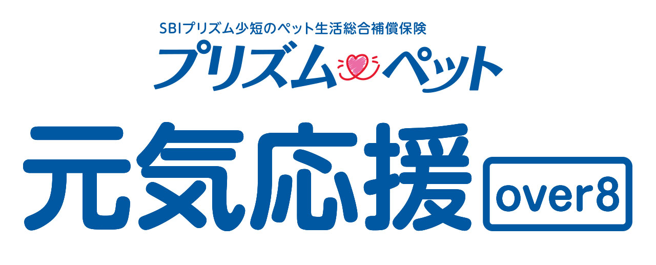 新プラン「元気応援プランover8」の販売を開始