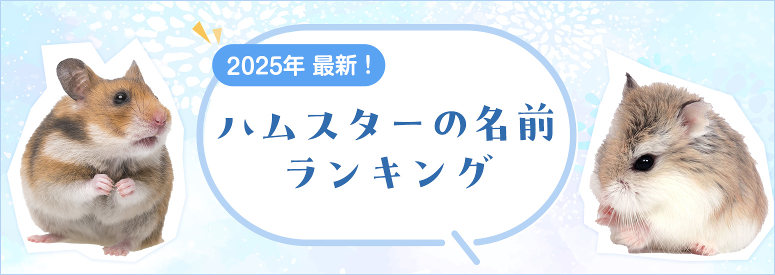【2025年最新】ハムスターの名前ランキングを発表！