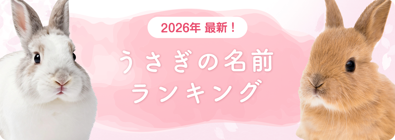 【2026年最新】うさぎの名前ランキングを発表！