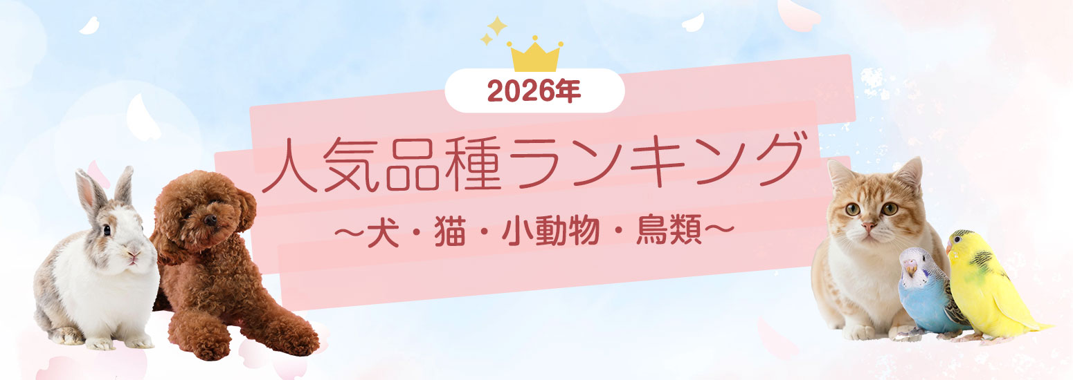 【2026年度最新】犬・猫・小動物・鳥類 人気ランキング～ミックス（小型犬）が2年連続の1位～